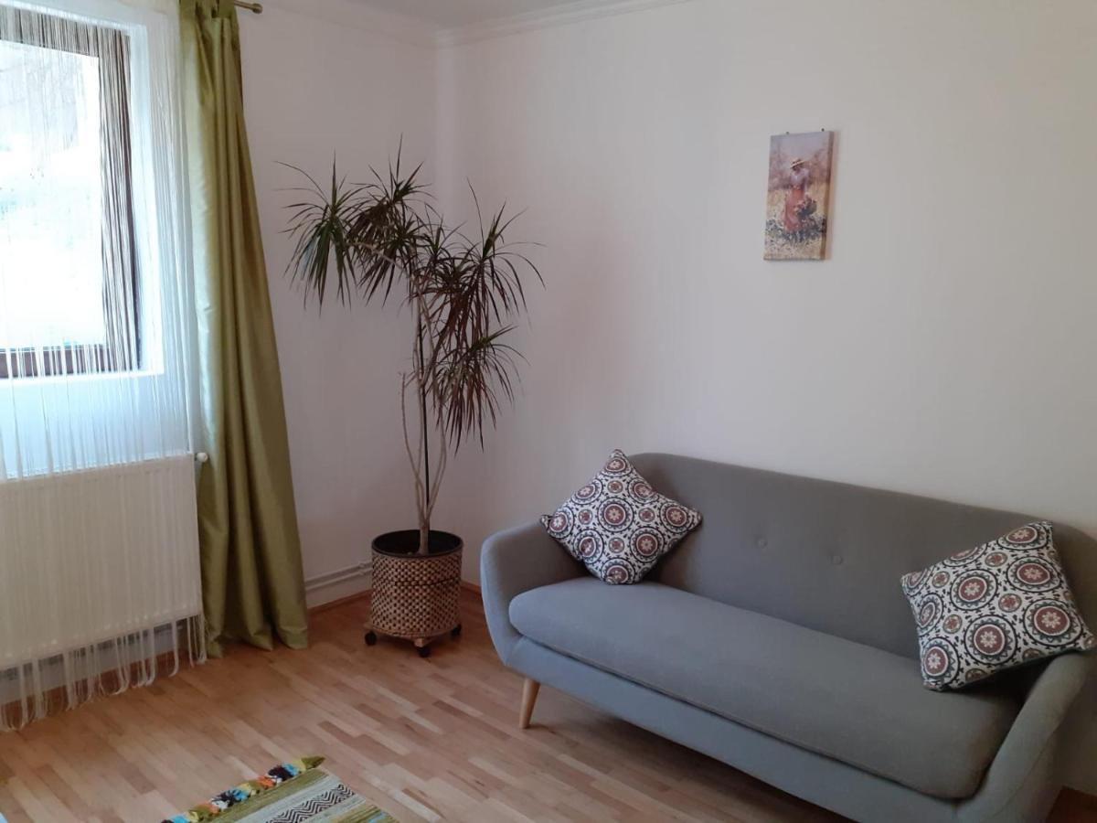 Ferienwohnung R-House Brașov Exterior foto