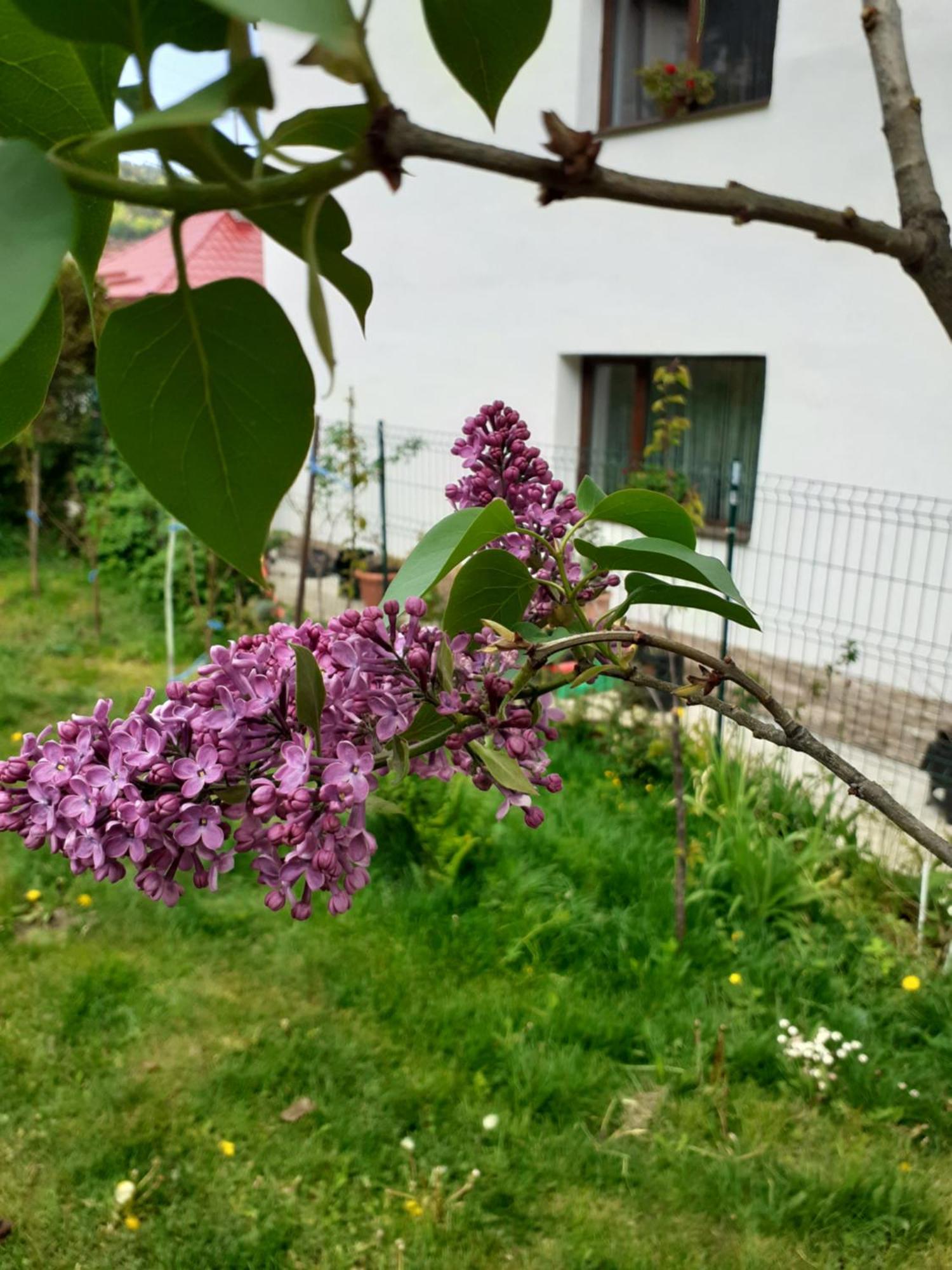 Ferienwohnung R-House Brașov Zimmer foto